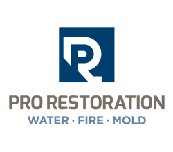 Pro Restoration Company